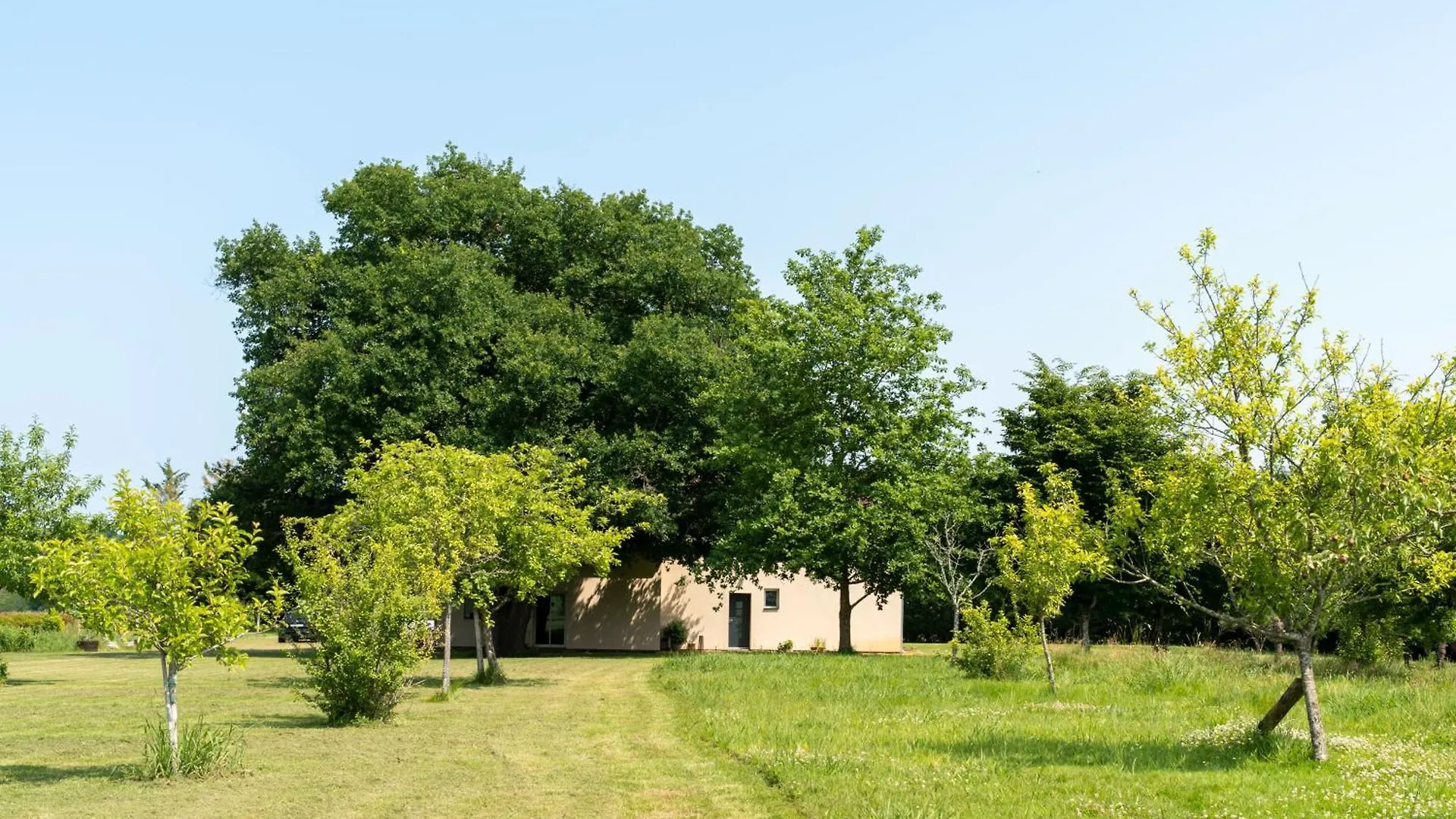Chambre Chene Mauleon-D'armagnac Francia